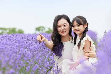 在薰衣草花田观赏的母女图片