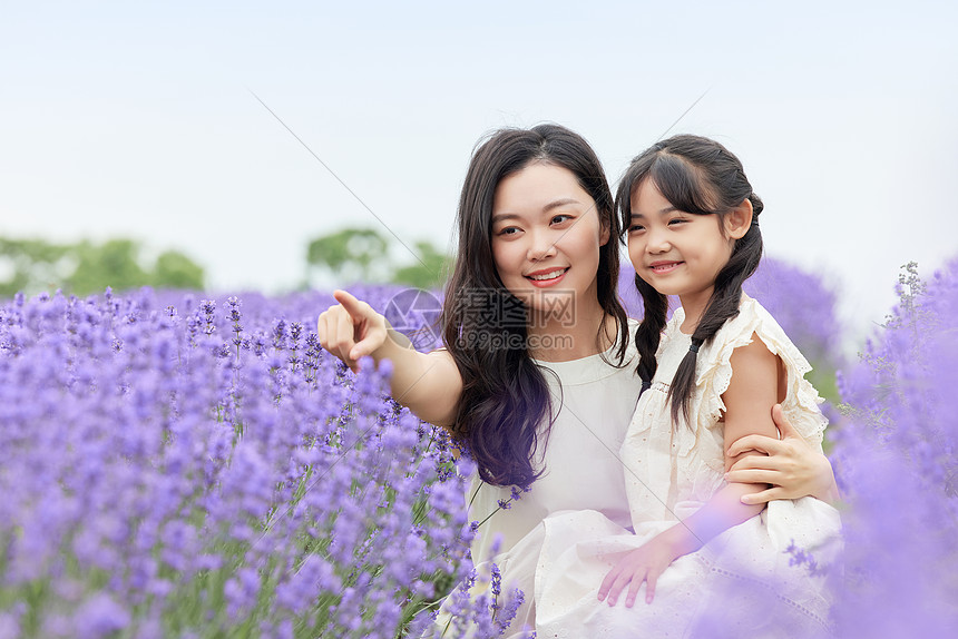 在薰衣草花田观赏的母女图片