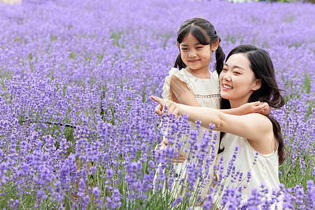 小孩子户外薰衣草花海中拥抱的母女背景