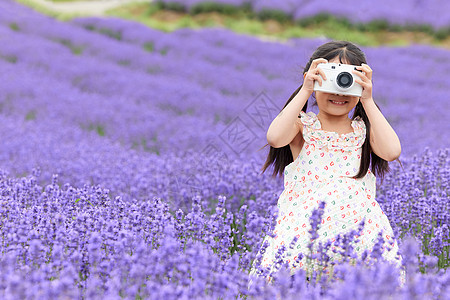 可爱小女孩在薰衣草花园拍照高清图片