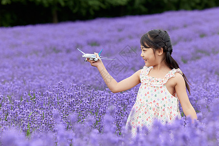 站在薰衣草花丛中手拿飞机的女孩图片