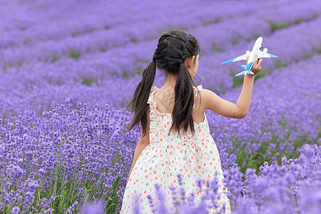 站在薰衣草花丛中玩飞机模型的女孩背景