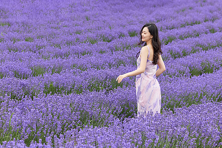 站在薰衣草花田中的美丽女性图片