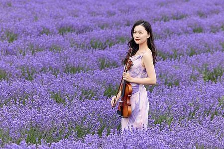 在薰衣草花海里演奏小提琴的女性图片