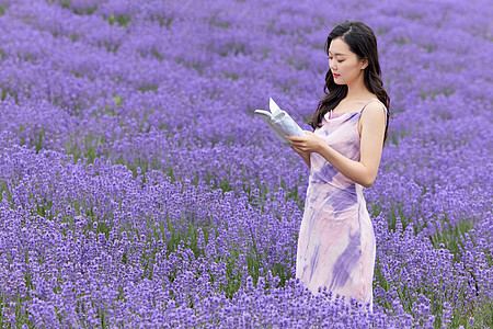 女性在薰衣草花田看书图片