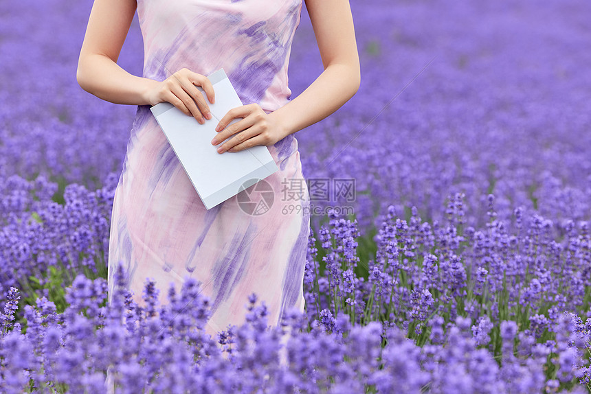 薰衣草花海拿着书的女性手部特写图片