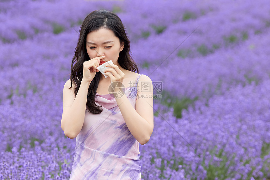 女性鼻炎过敏在薰衣草花丛不适图片