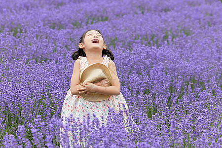 薰衣草花丛中抱着帽子的小女孩图片