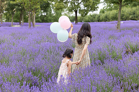 拿气球女孩母女在薰衣草花田游玩背影背景