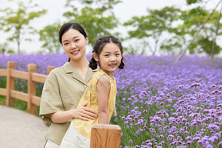 马鞭草花一起逛公园的母女形象背景