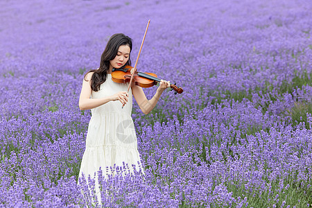 在薰衣草花海里演奏小提琴的女性图片