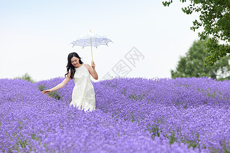 在薰衣草花田散步的美丽女性图片