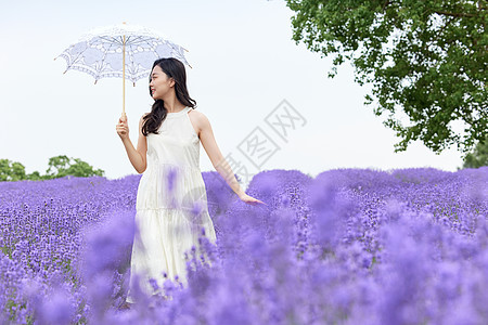 撑着阳伞走在薰衣草花田的女性背景图片