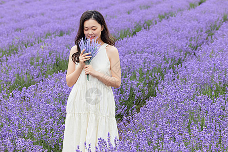 捧着一束薰衣草的美女图片