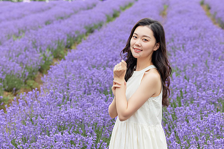 夏日花草蝴蝶夏日女性手拿薰衣草背景