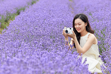 女性使用相机拍摄薰衣草图片