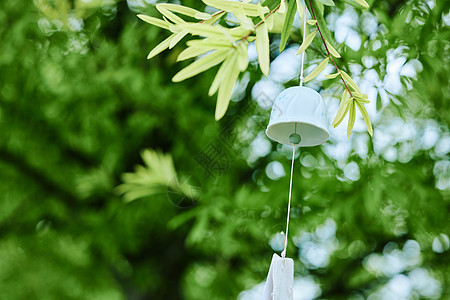 悬挂在绿植上的风铃图片