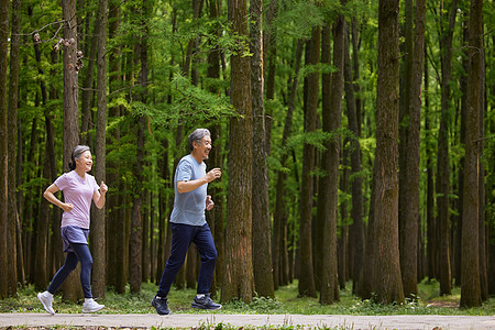 树林里老人们慢跑锻炼高清图片