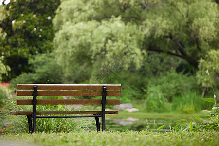 森林公园里的长板凳背景图片