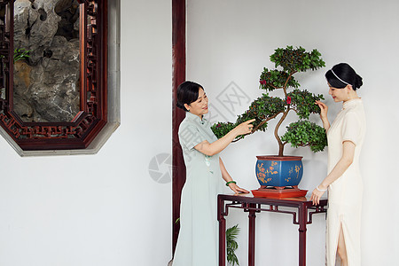 新中式庭院旗袍母女在院子里欣赏盆栽背景