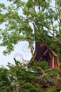 中式园林建筑风光图片