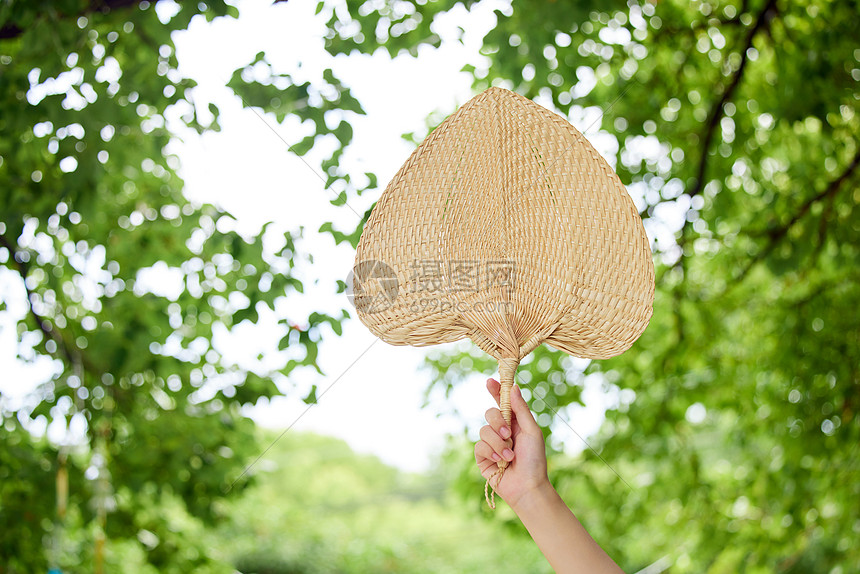 夏日树荫手举起蒲扇图片