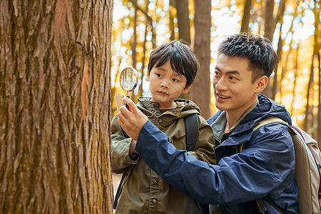 爸爸儿子用放大镜观察树皮的父子背景