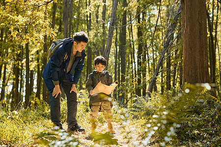森林中父子俩在原始森林寻找路线背景