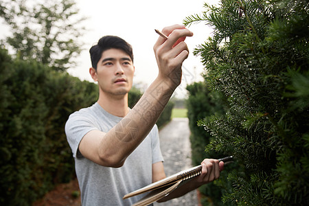 青年节字画画的男性观察树枝构造背景