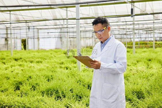 种植园中科研人员形象图片