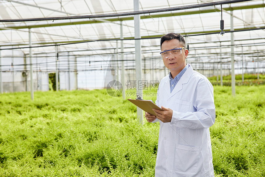 种植园中穿白大褂的科研人员形象图片