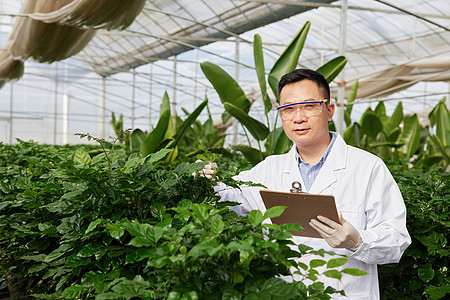 观察植物的科研人员形象图片