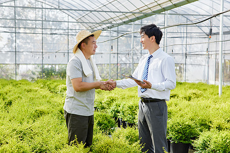 种植园里达成交易的农民商人图片