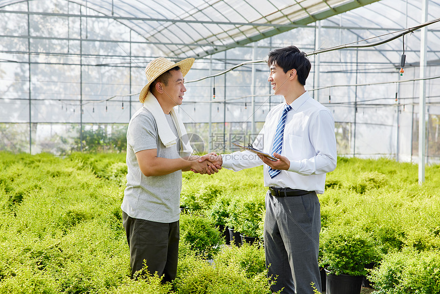 种植园里达成交易的农民商人图片