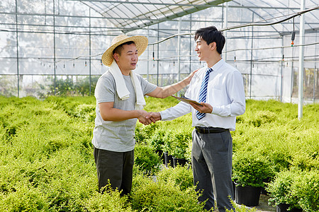 植物种植园里达成交易的农民商人图片