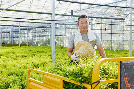 种植园里的农民形象图片