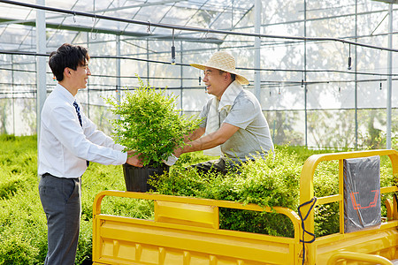 商人帮助农民搬运绿植图片