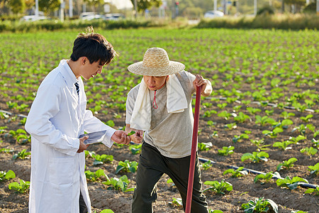 农业科研人员和农民在菜园交谈图片