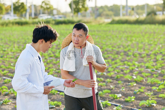 科研人员和农民在菜园交谈图片