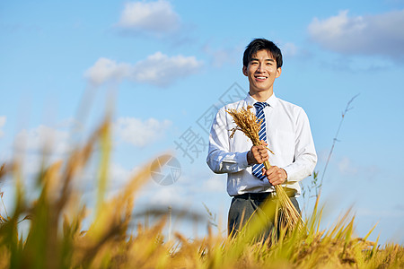 手持麦穗对着镜头微笑的科研人员形象图片