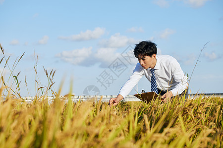 视察农田的农业科研人员图片