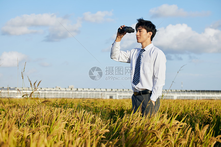 农业科研人员用望远镜查看稻田图片