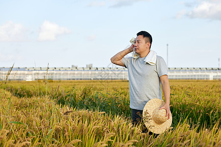 阳光下用毛巾擦汗的农民图片