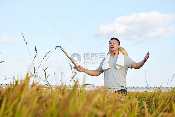 手拿镰刀割收小麦的农民图片