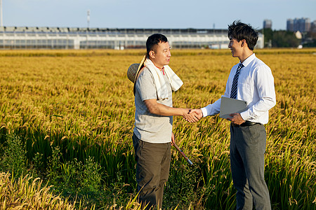 阳光下握手合作的农民和科研人员图片