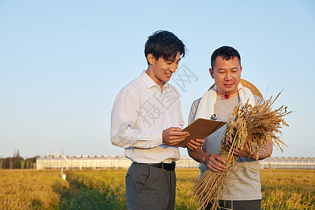 科研人员记录小麦的生长情况图片