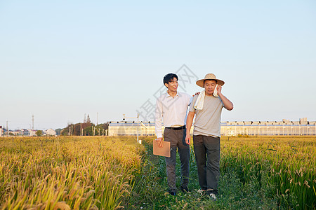 科研人员和农民一起站在稻田里图片