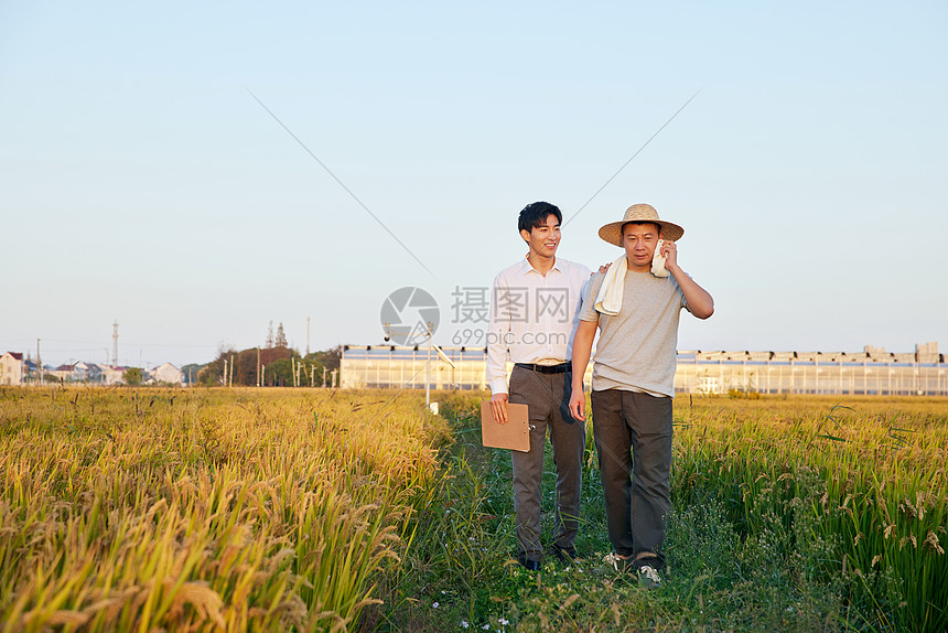 科研人员和农民一起站在稻田里图片