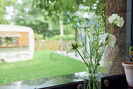 夏天清爽下雨后房间里的盆栽背景