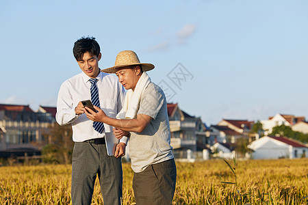商人和农民一起查看手机图片